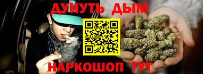 индика Моздок