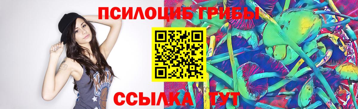 Чебоксары  купить   Вход с VPN  Псилоцибиновые грибы мицелий 